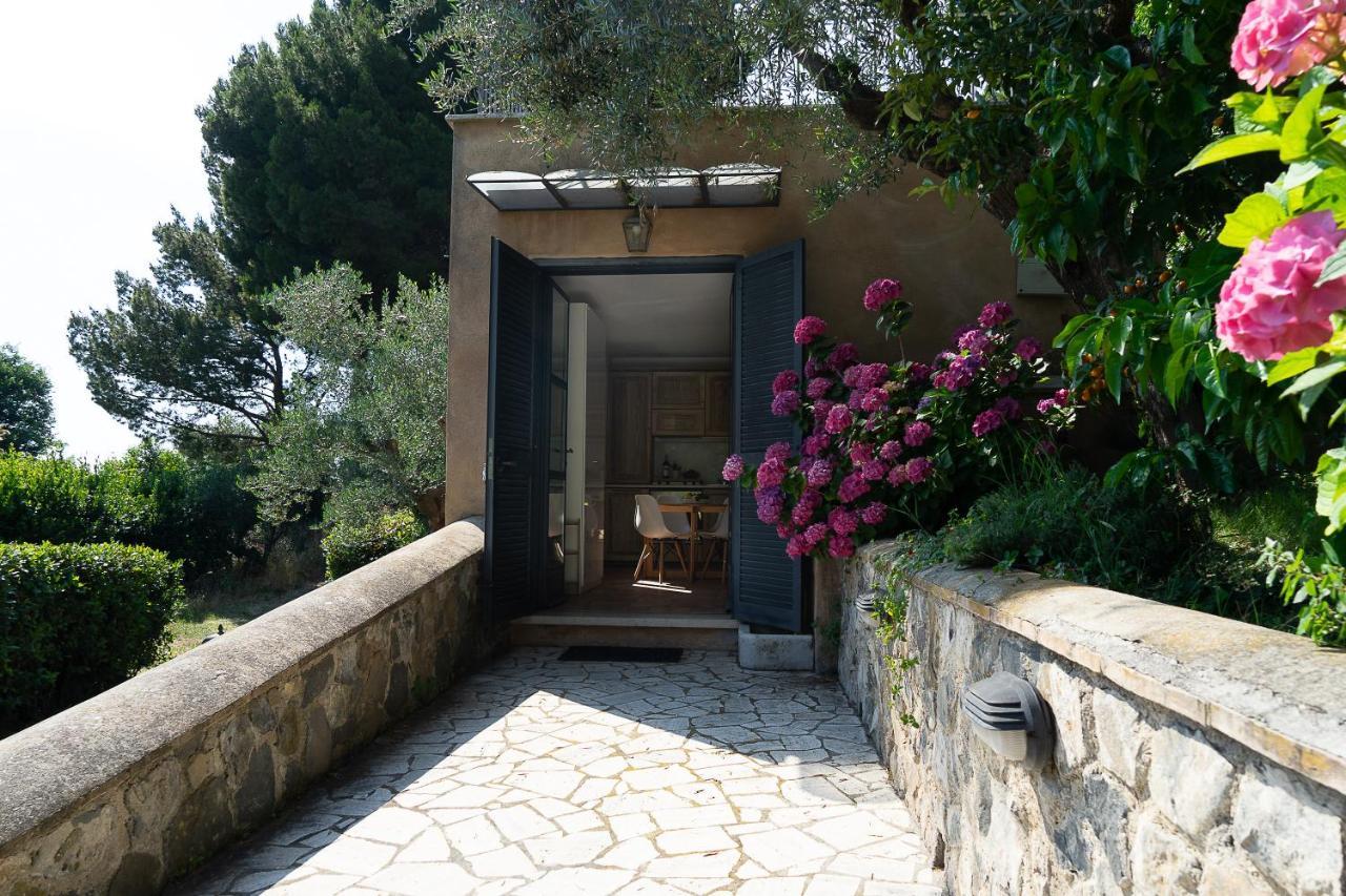Frascati Country House Grottaferrata Extérieur photo